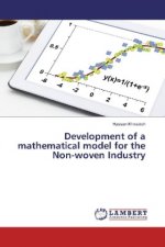 Development of a mathematical model for the Non-woven Industry