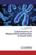 Cytotaxonomy of Megascolecid earthworms of South India