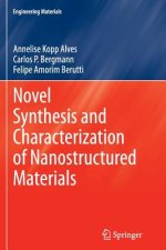 Novel Synthesis and Characterization of Nanostructured Materials