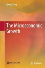 Microeconomic Growth
