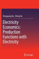 Electricity Economics: Production Functions with Electricity