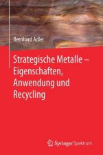 Strategische Metalle - Eigenschaften, Anwendung Und Recycling
