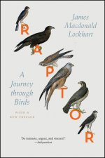 Raptor: A Journey Through Birds