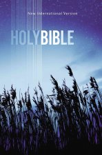 NIV, Value Outreach Bible, Paperback