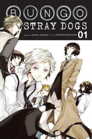 Bungo Stray Dogs, Vol. 1