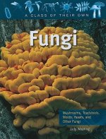 Fungi: Mushrooms, Toadstools, Molds, Yeasts, and Other Fungi