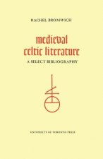 Medieval Celtic Literature