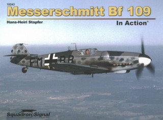 Messerschmitt Bf 109 in Action