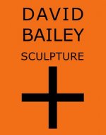 David Bailey: Sculpture +
