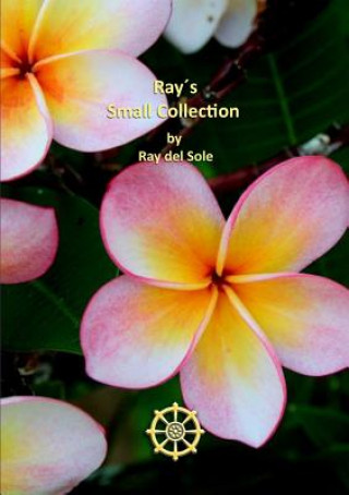 Ray's Small Collection