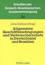 Allgemeine Geschaeftsbedingungen und Verbraucherschutz in Deutschland und Brasilien