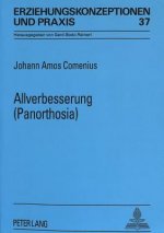 Allverbesserung (Panorthosia)