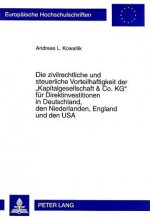 Die zivilrechtliche und steuerliche Vorteilhaftigkeit der Â«Kapitalgesellschaft & Co. KGÂ» fuer Direktinvestitionen in Deutschland, den Niederlanden,