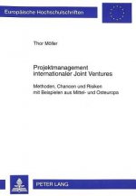 Projektmanagement Internationaler Joint Ventures