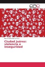 Ciudad Juárez: violencia e inseguridad