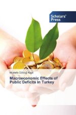 Macroeconomic Effects of Public Deficits in Turkey