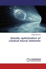 Genetic optimization of classical neural networks