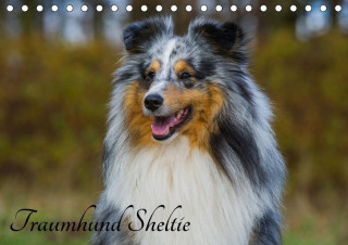Traumhund Sheltie (Tischkalender 2017 DIN A5 quer)