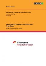 Quantitative Analyse. Protokoll zum Praktikum
