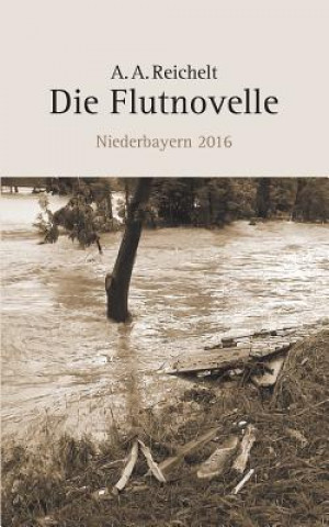 Flutnovelle