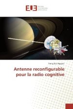 Antenne reconfigurable pour la radio cognitive