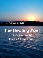 Healing Poet