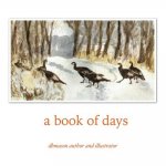 A Book of Days