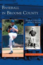 Baseball in Broome County
