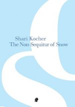 Non-Sequitur of Snow