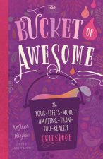 Bucket of Awesome: The Your-Life's-More-Amazing-Than-You-Realize Guidebook