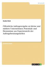 OEffentliche Auftragsvergabe an kleine und mittlere Unternehmen. Potentiale und Hemmnisse aus Expertensicht der Auftragsberatungsstellen