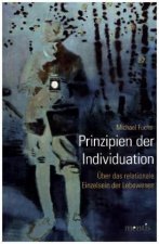 Prinzipien der Individuation