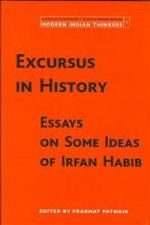 Excursus in History - Essays on Some Ideas of Irfan Habib