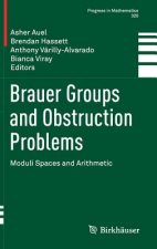 Brauer Groups and Obstruction Problems