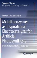 Metalloenzymes as Inspirational Electrocatalysts for Artificial Photosynthesis