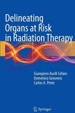 Delineating Organs at Risk in Radiation Therapy