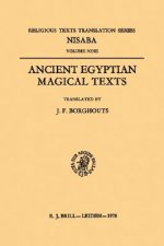 Ancient Egyptian Magical Texts