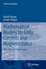 Mathematical Models for Eddy Currents and Magnetostatics