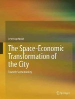 Space-Economic Transformation of the City