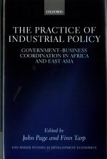 Practice of Industrial Policy