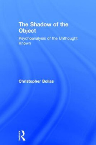 Shadow of the Object
