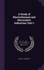 A STUDY OF ELECTROTHERMAL AND ELECTROLYT