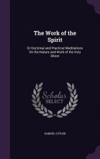 THE WORK OF THE SPIRIT: OR DOCTRINAL AND