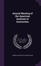 ANNUAL MEETING OF THE AMERICAN INSTITUTE