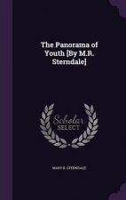 THE PANORAMA OF YOUTH [BY M.R. STERNDALE
