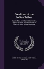 CONDITION OF THE INDIAN TRIBES: REPORT O