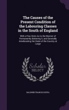 THE CAUSES OF THE PRESENT CONDITION OF T