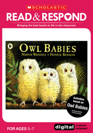 Owl Babies