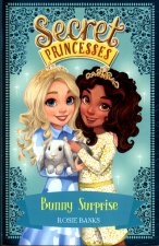 Secret Princesses: Bunny Surprise