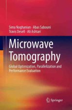 Microwave Tomography